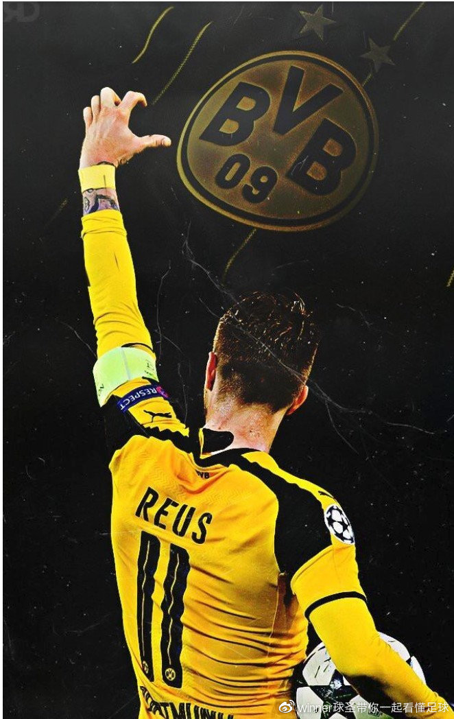 关于波尔图训练开放日；清晨主帅复盘引欢呼；欧篮联在即；纪律约束更严格的信息